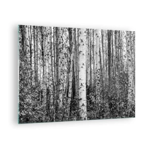 Üveg kép - A fekete-fehér nyírfák sűrű erdőtájt hoznak létre - 70x50cm - Nyírfa oszlopsor - Modern fali dekoráció nappalihoz és hálószobához ARTTOR