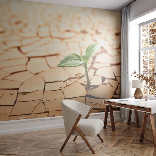 Fotótapéta Premium Sand - Az élet fékezhetetlen ereje - Természet, Növény, Aszály - 200x140 cm