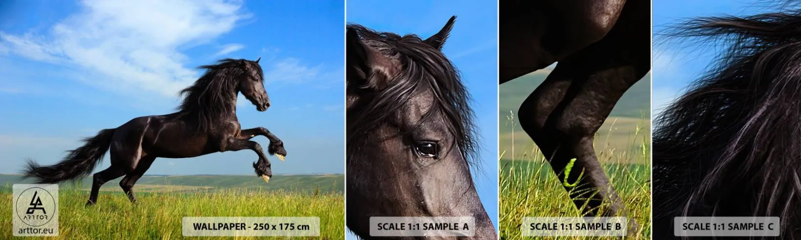 Fotótapéta Minta Öntapadós Deluxe Sticker - A szabadság izgalmas kiáltványa - Állatok, Ló, Tájkép - 100x30 cm