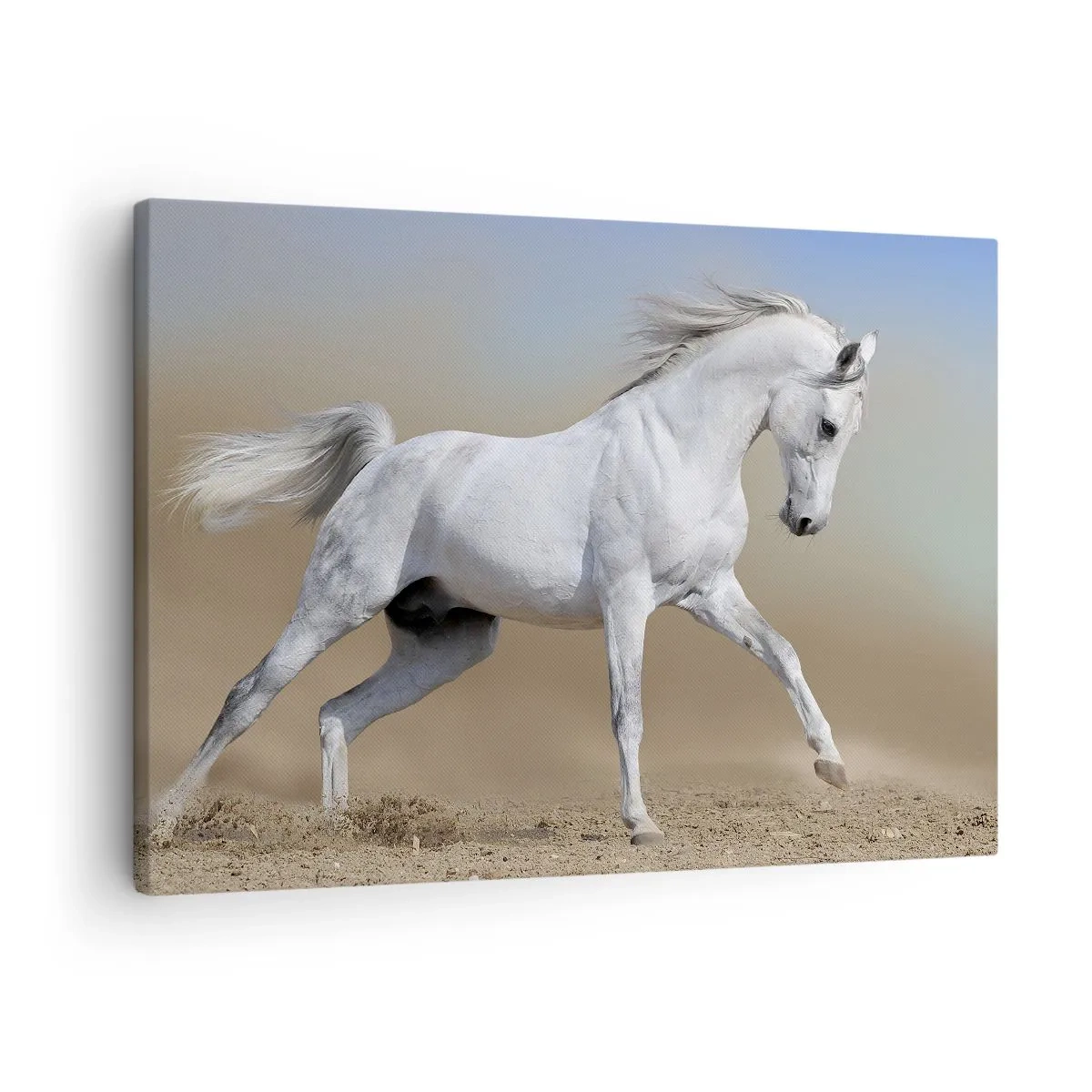 Vászonkép - Egy fehér ló vágtat át egy sivatagi tájon - 70x50cm - A legszebb arab tündérmese - Modern fali dekoráció nappalihoz és hálószobához ARTTOR