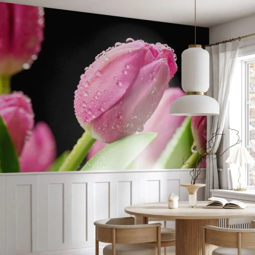 Öntapadós Fotótapéta Deluxe Sticker - Lila álom a harmatban - Virágok, Tulipánok, Csokor virág - 100x70 cm