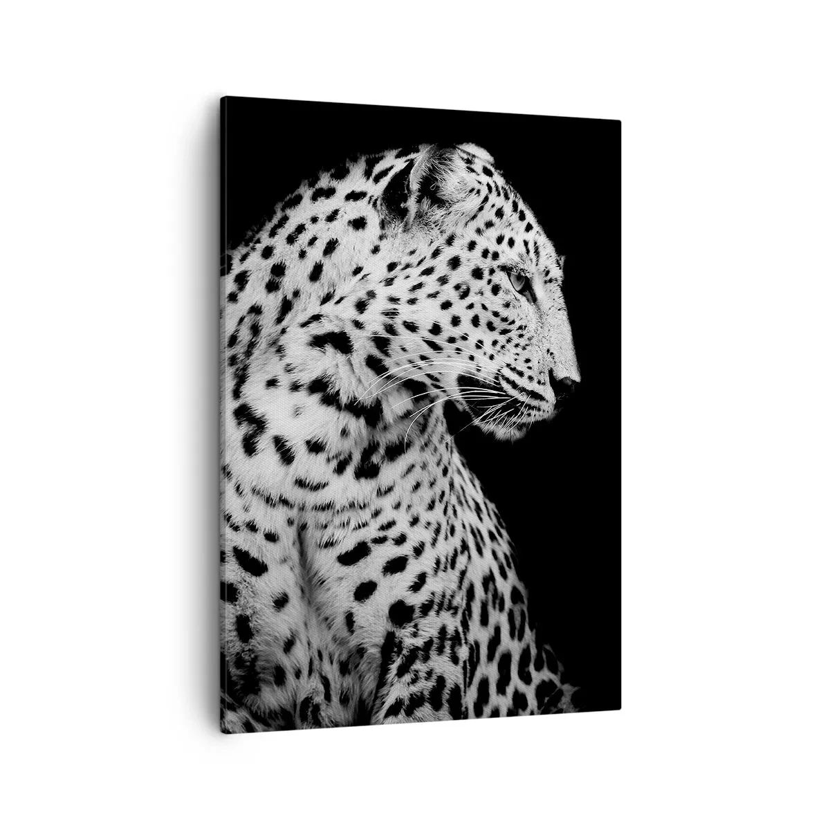 Vászonkép - Tökéletes jobb profil! - 50x70 cm