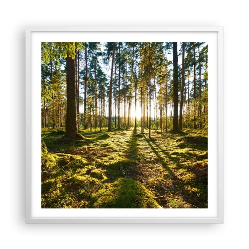 Poszter fekete keretben - … A hét erdőn túl - 60x60 cm