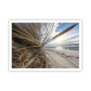 Poszter - Az elemek találkozása - 100x70 cm