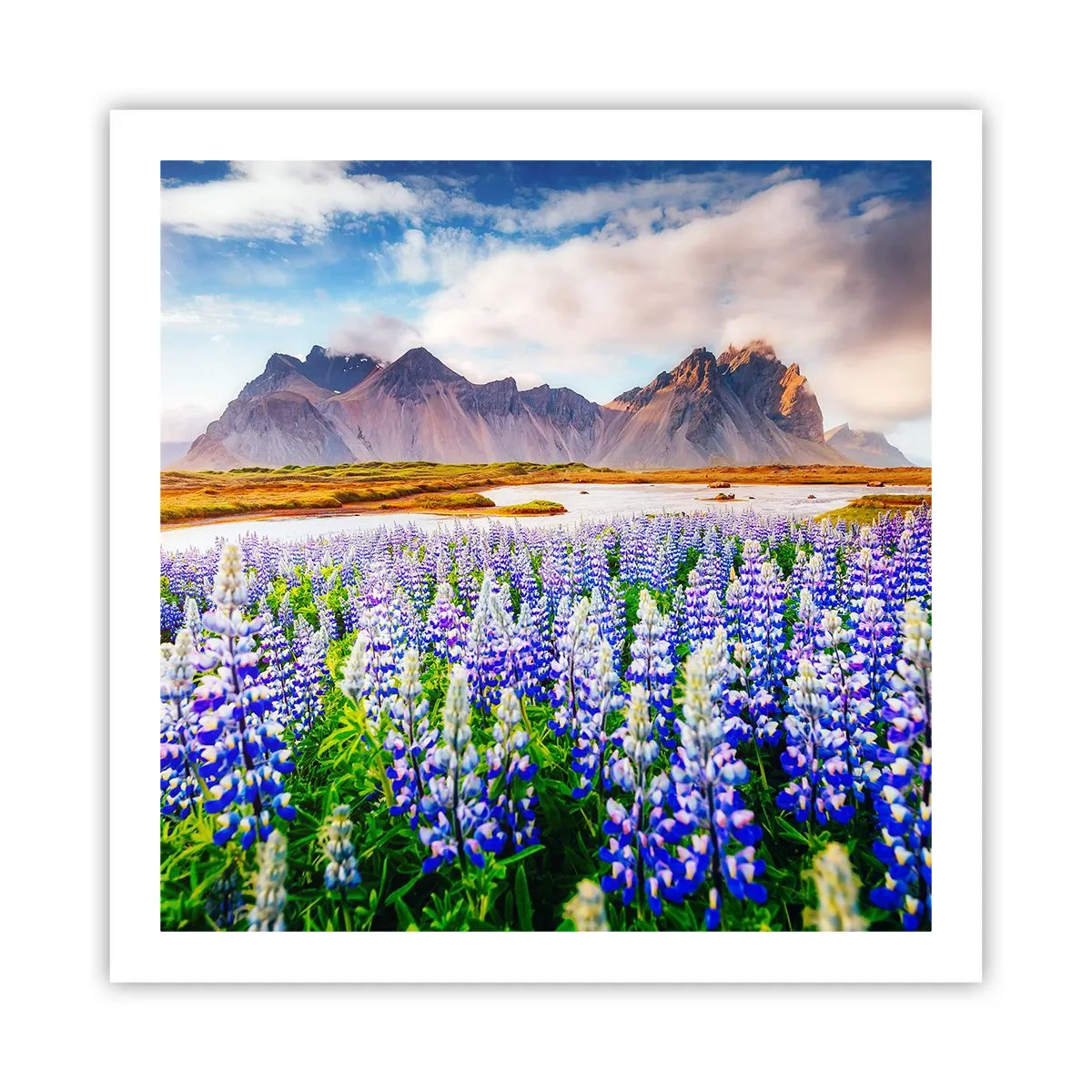 Poszter - Erő és szigorúság a szelídség mellett - 60x60 cm