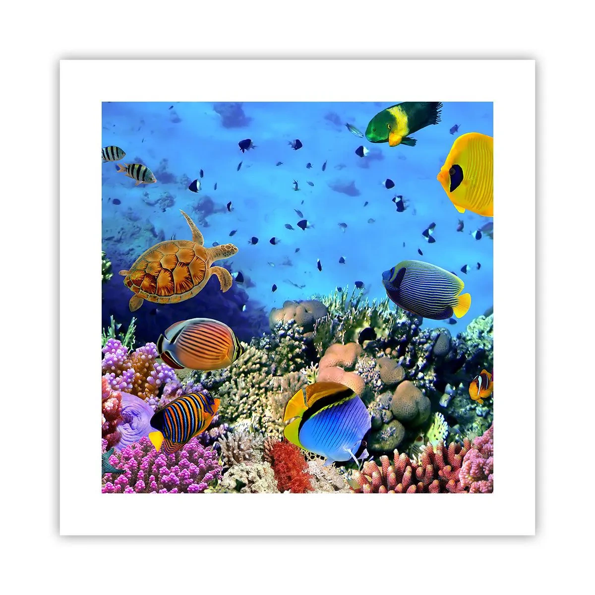 Poszter - És mit tudunk az életről... - 40x40 cm