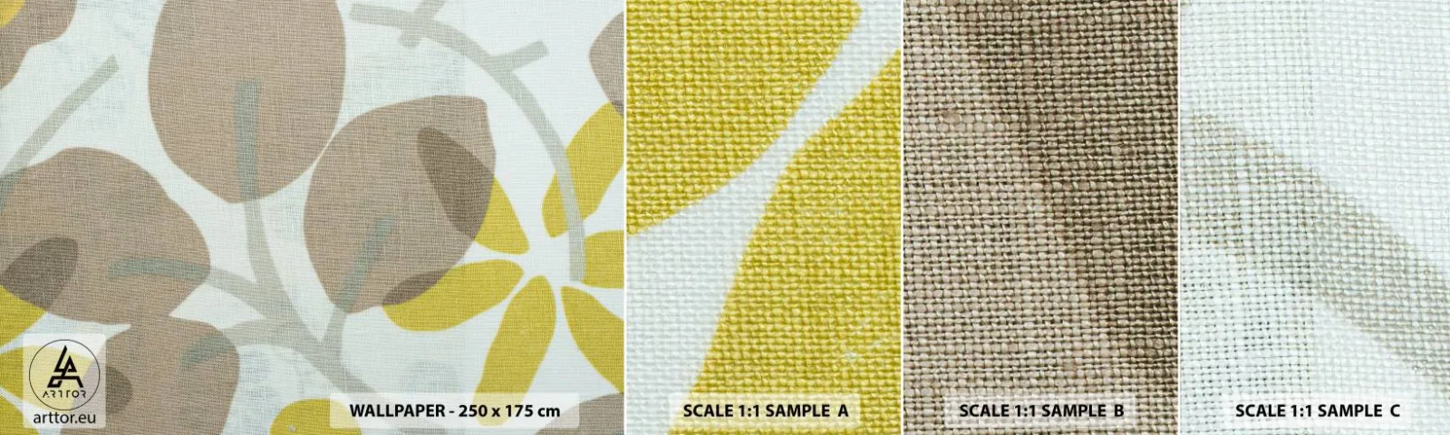 Fotótapéta Minta Standard Eco - Kompozíció a napsütésben - Boho, Virágok, Minimalizmus - 100x30 cm