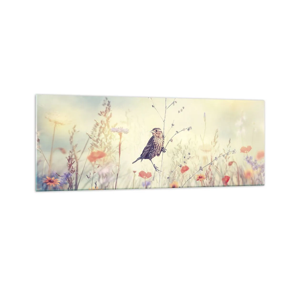 Üveg kép - Madárportré egy réttel a háttérben - 140x50 cm