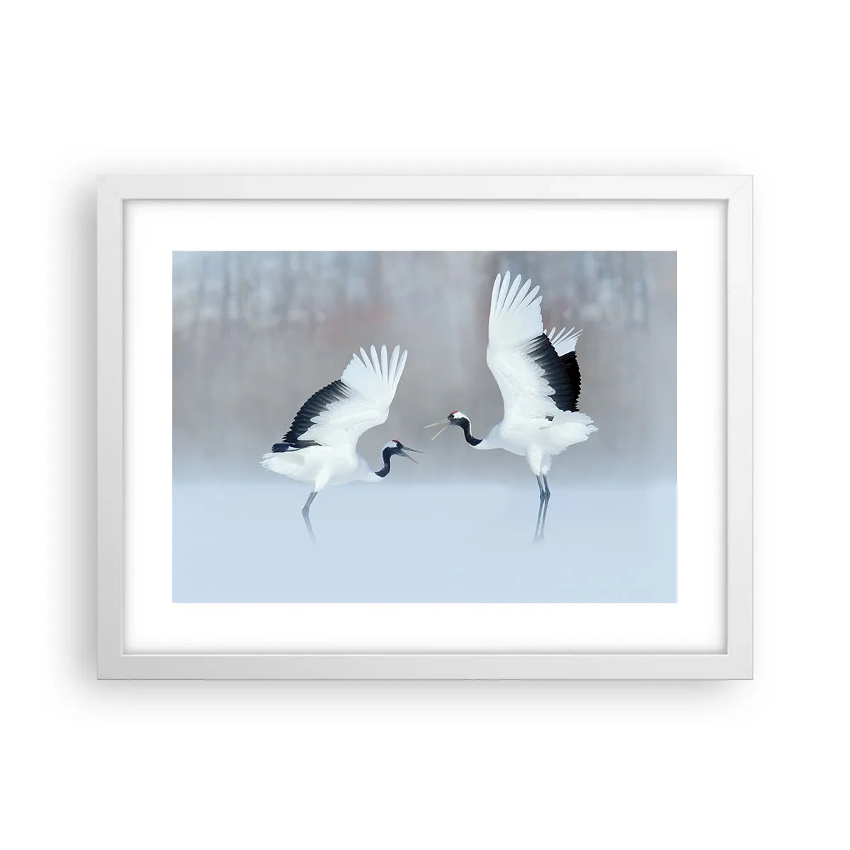 Poszter fekete keretben - Tánc a ködben - 40x30 cm