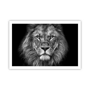 Poszter - Őfelségi palástban - 91x61 cm