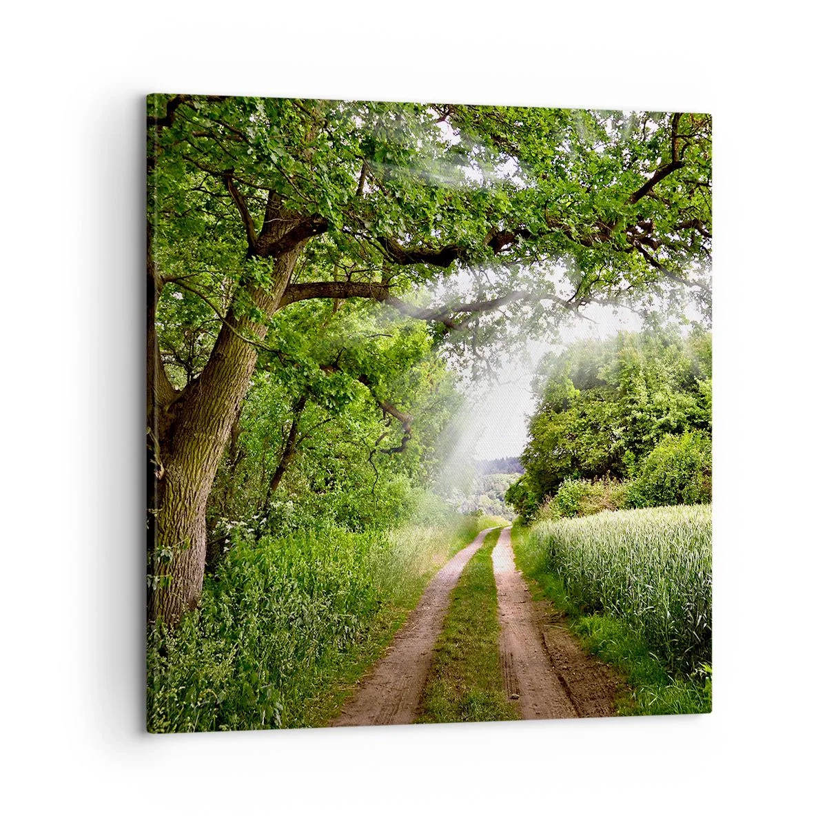 Vászonkép - Et in Arcadia ego - 60x60 cm