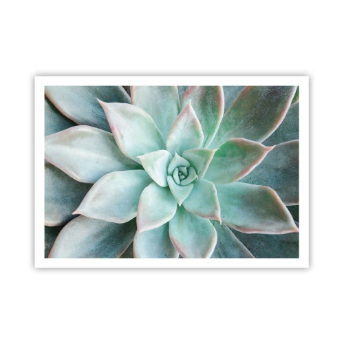 Poszter - A sivatag szíve - 100x70 cm