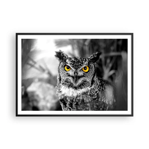 Poszter fehér keretben - Semmi sem fog elbújni - 100x70 cm