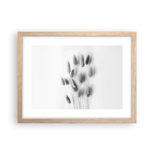 Poszter világos tölgy keretben - A bolyhos fű - 40x30 cm