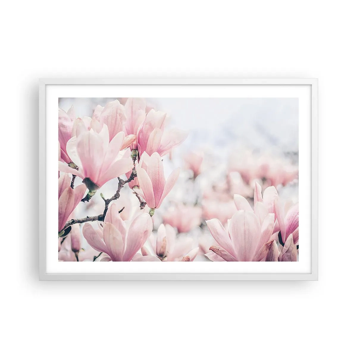 Poszter fekete keretben - A finomság eszménye - 70x50 cm