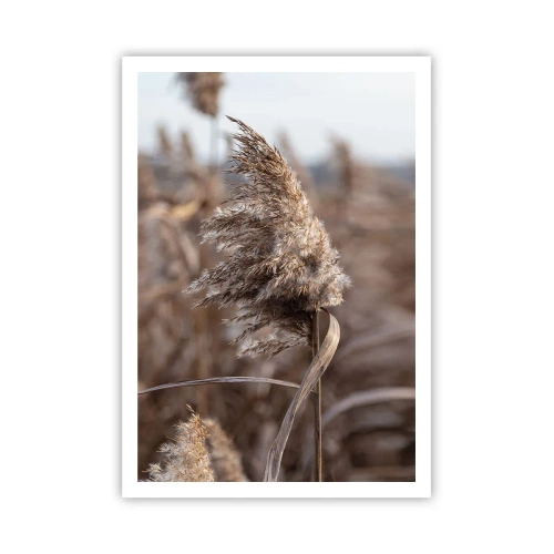 Poszter - Ideje elrepülni a széllel - 70x100 cm