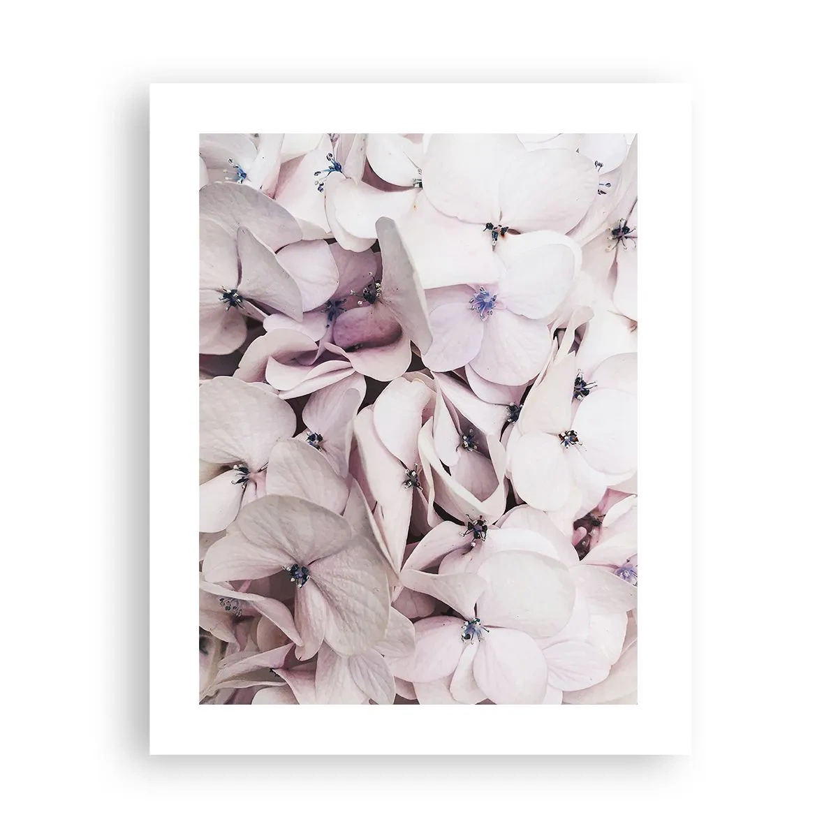 Poszter - A virágok áradatában - 40x50 cm