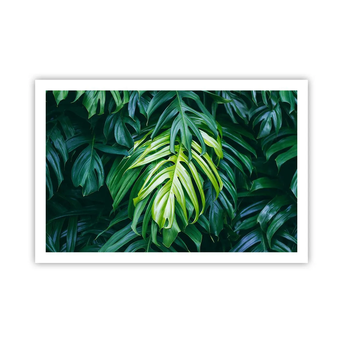 Poszter - Merüljön el a frissességben - 91x61 cm
