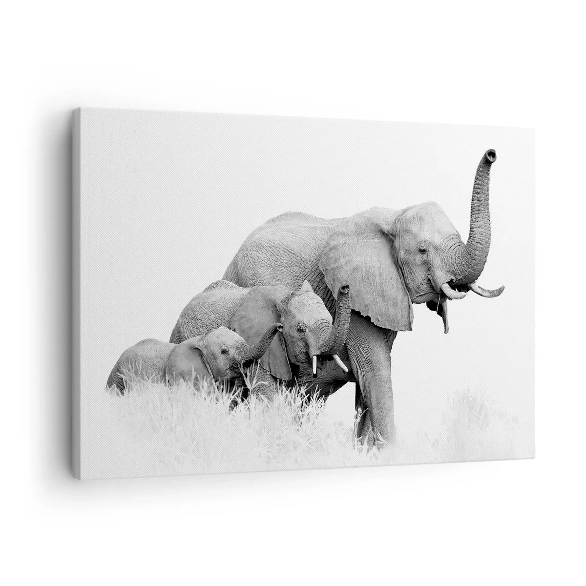 Vászonkép - Egy elefántcsalád egy afrikai táj előtt fekete-fehérben. - 70x50cm - Egy, kettő, három - Modern fali dekoráció nappalihoz és hálószobához ARTTOR