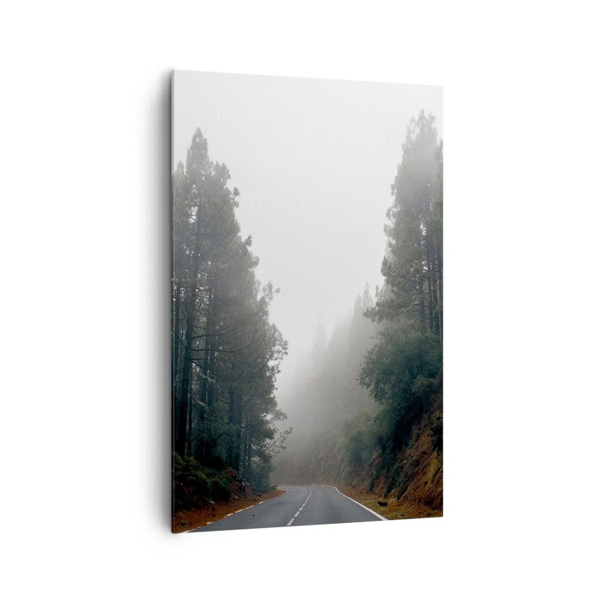 Vászonkép - Egy varázslatos erdő meséje - 80x120 cm