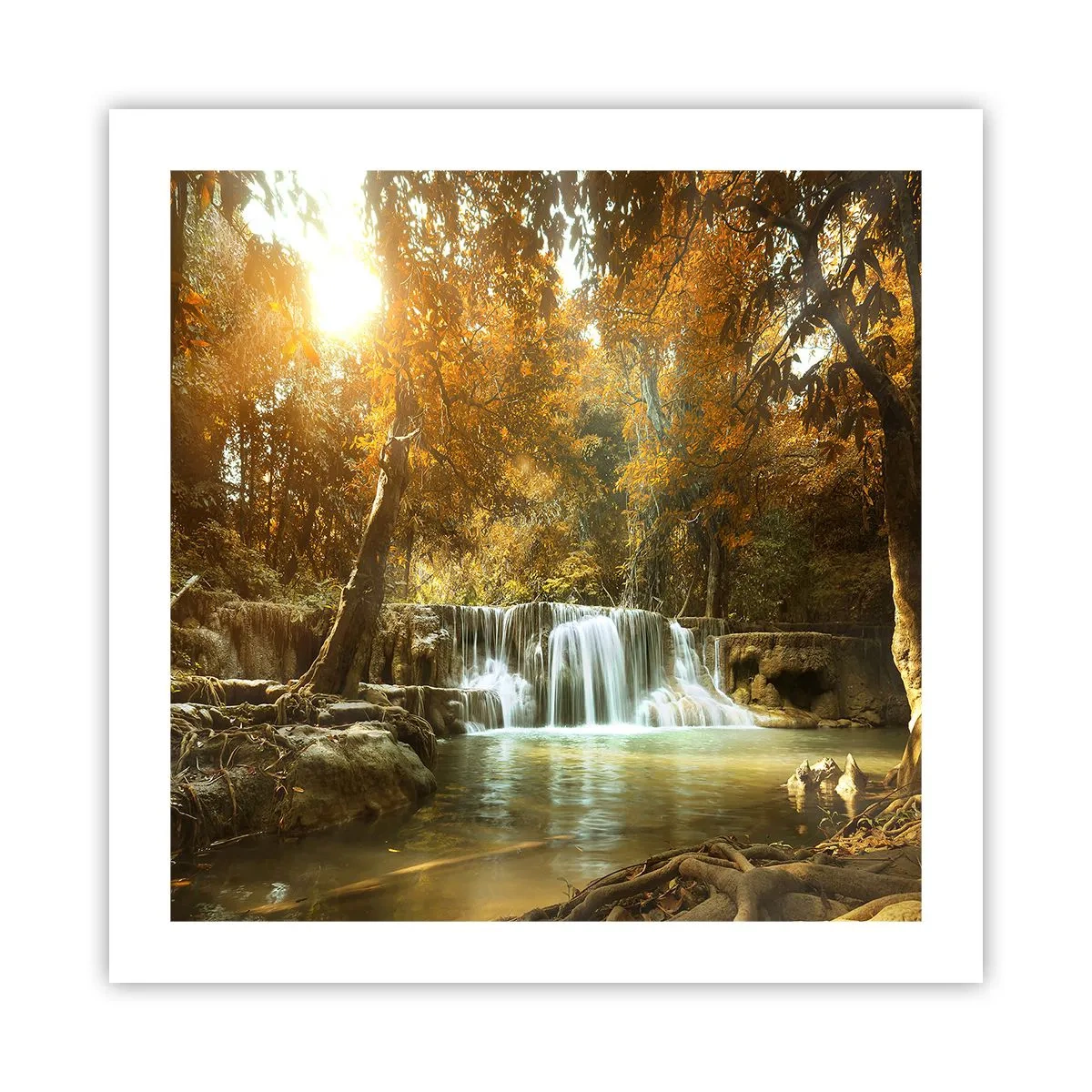 Poszter - Park kaszkád - 50x50 cm