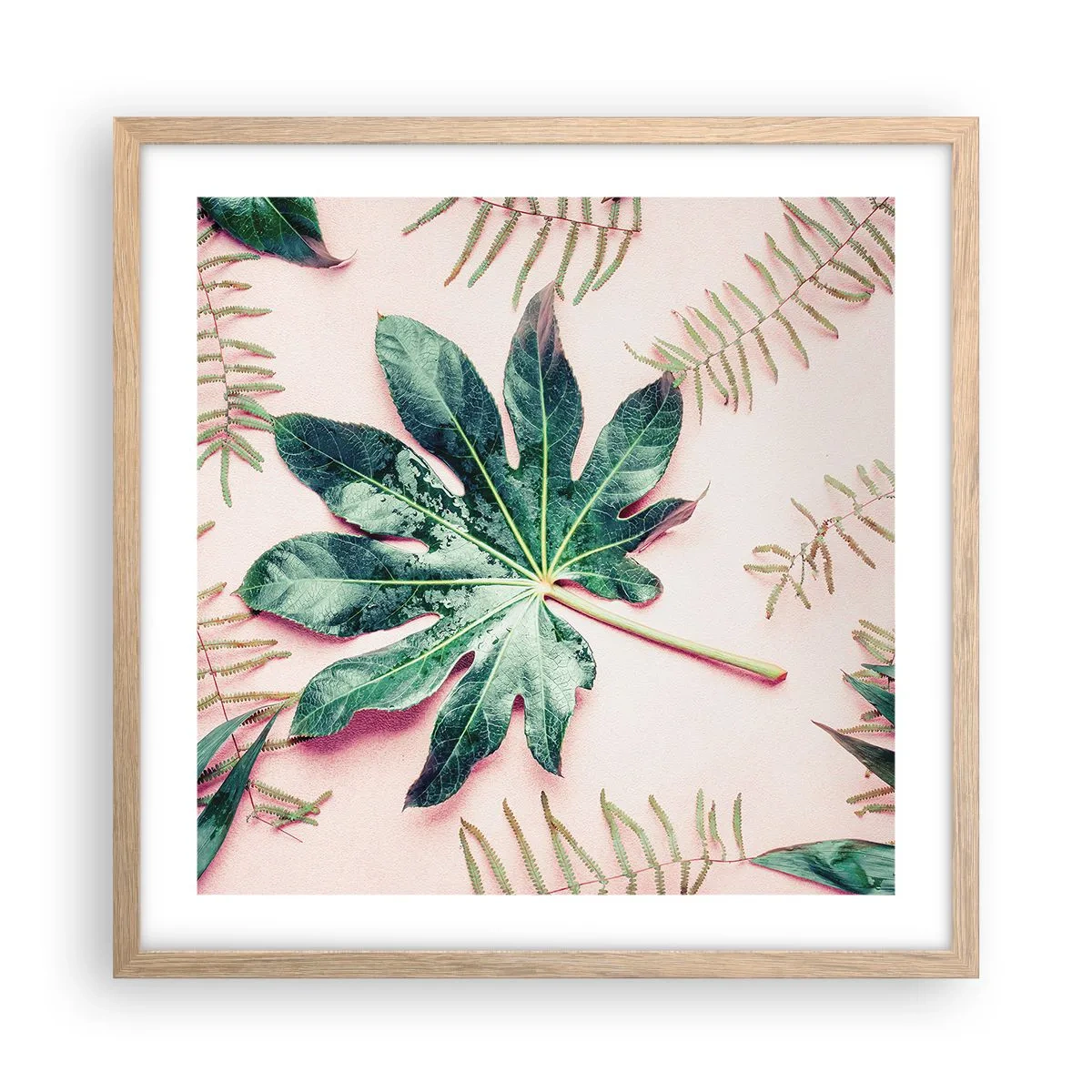 Poszter világos tölgy keretben - A zöld tanulmánya a rózsaszín háttérben - 50x50 cm