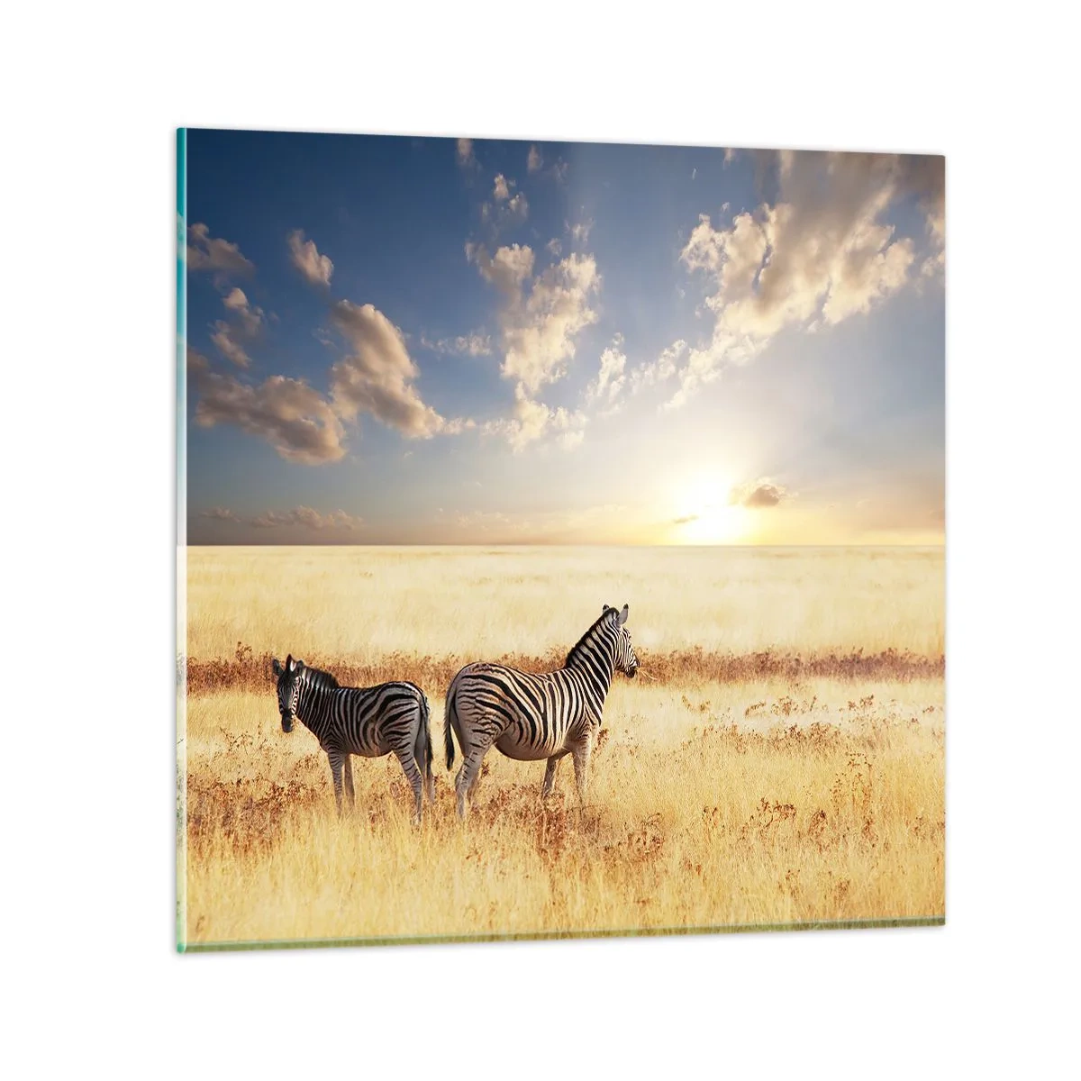 Üveg kép - Menj el, ne zavard a békét - 50x50 cm