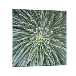 Üveg kép - Csillag születik - 60x60 cm