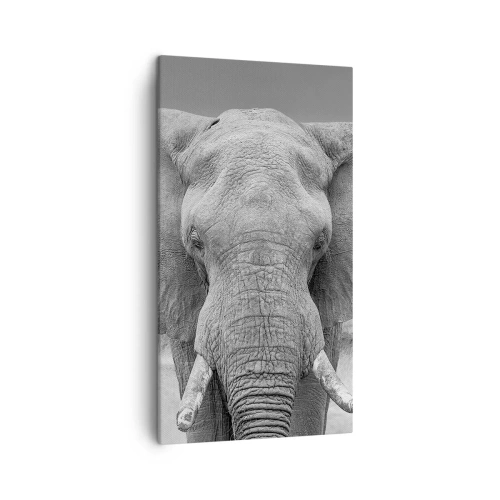 Vászonkép - Üdv a világomban - 45x80 cm