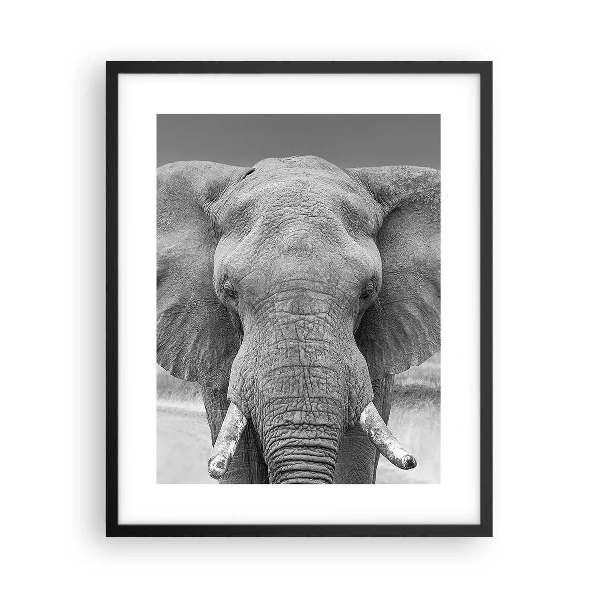 Poszter fehér keretben - Üdv a világomban - 40x50 cm