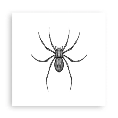 Poszter - Zavaró precizitás - 30x30 cm