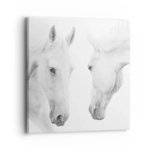 Vászonkép - Ez a barátság...? - 40x40 cm