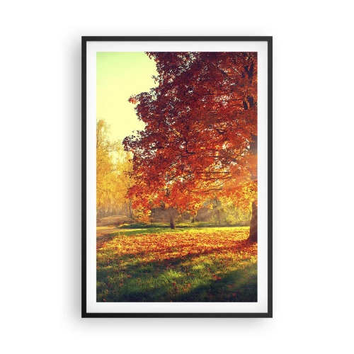 Poszter fehér keretben - A vörös gyönyörű - 61x91 cm
