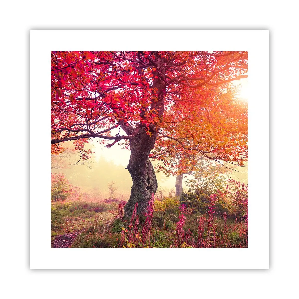 Poszter - Virágzás őrülete - 40x40 cm