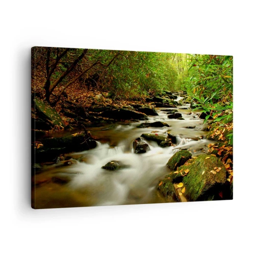 Vászonkép - Egy erdei patak, amely kövek között hömpölyög, zöld növényzettel körülvéve - 70x50cm - Mint folyékony ezüst - Modern fali dekoráció nappalihoz és hálószobához ARTTOR