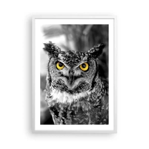 Poszter fekete keretben - Semmi sem fog elbújni - 50x70 cm