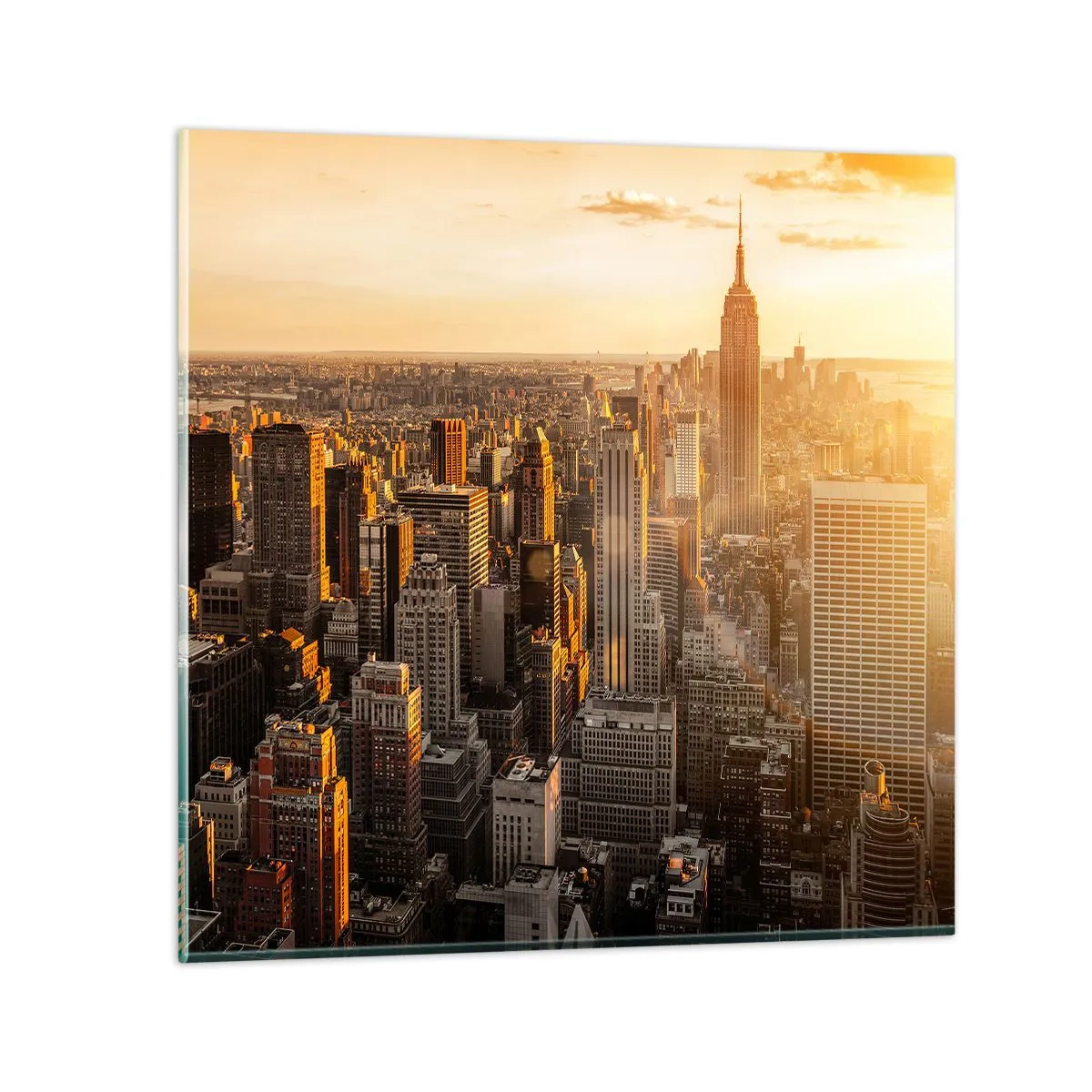 Üveg kép - Növekedni a napon - 50x50 cm