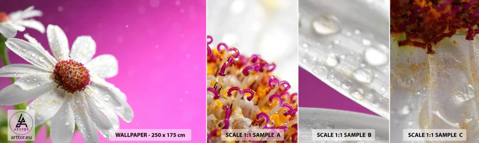 Fotótapéta Minta Standard Eco - A Szépségében szerény - Virág, Természet, Kert - 100x30 cm