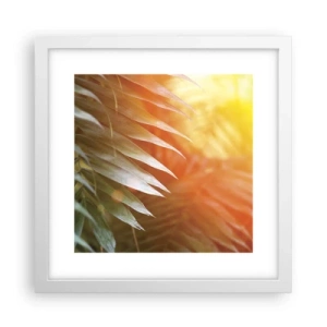 Poszter fekete keretben - Reggel a dzsungelben - 30x30 cm