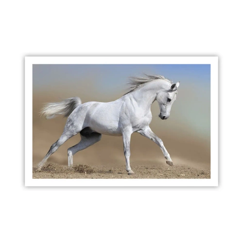 Poszter - A legszebb arab tündérmese - 91x61 cm