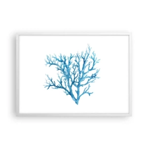 Poszter fekete keretben - Tengeri filigrán - 70x50 cm