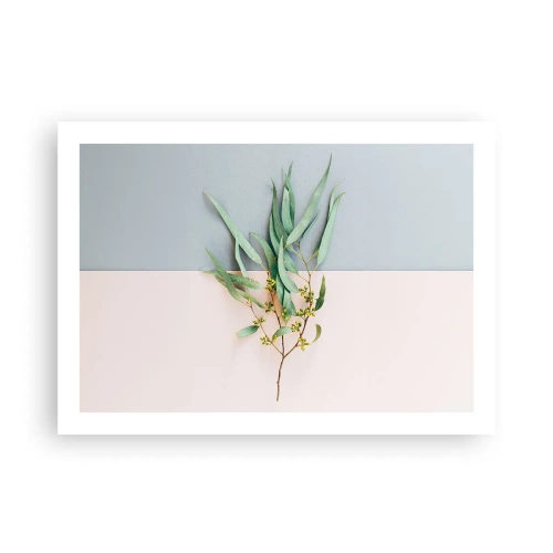 Poszter - Pasztell finomság - 70x50 cm