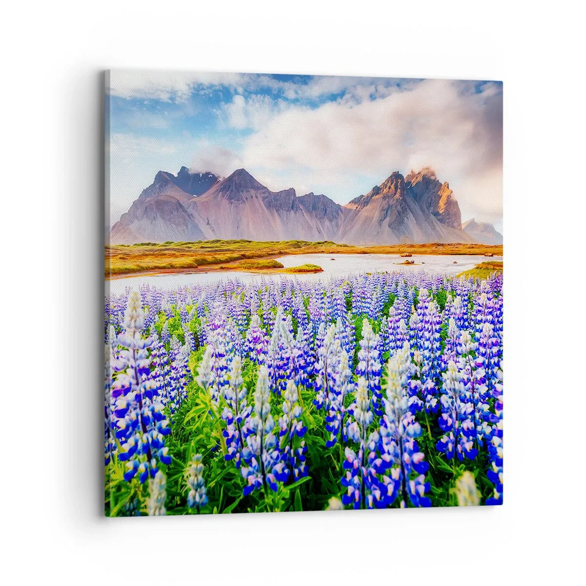 Vászonkép - Erő és szigorúság a szelídség mellett - 70x70 cm