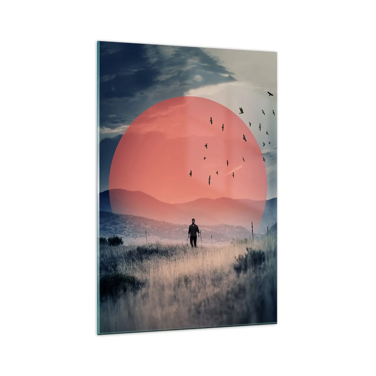 Üveg kép - Elemében - 70x100 cm