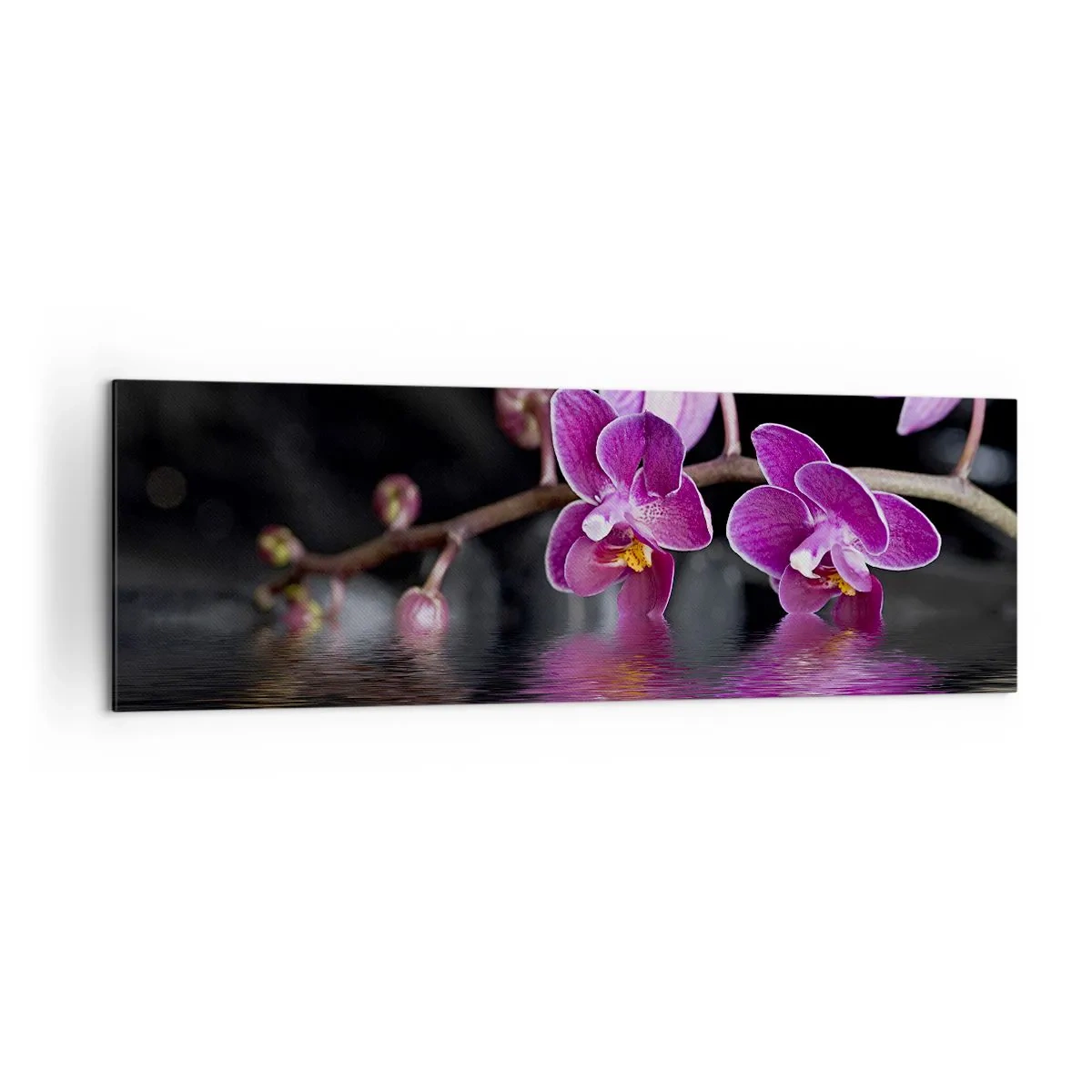Vászonkép - Lila a szépség tükörképe - 160x50 cm