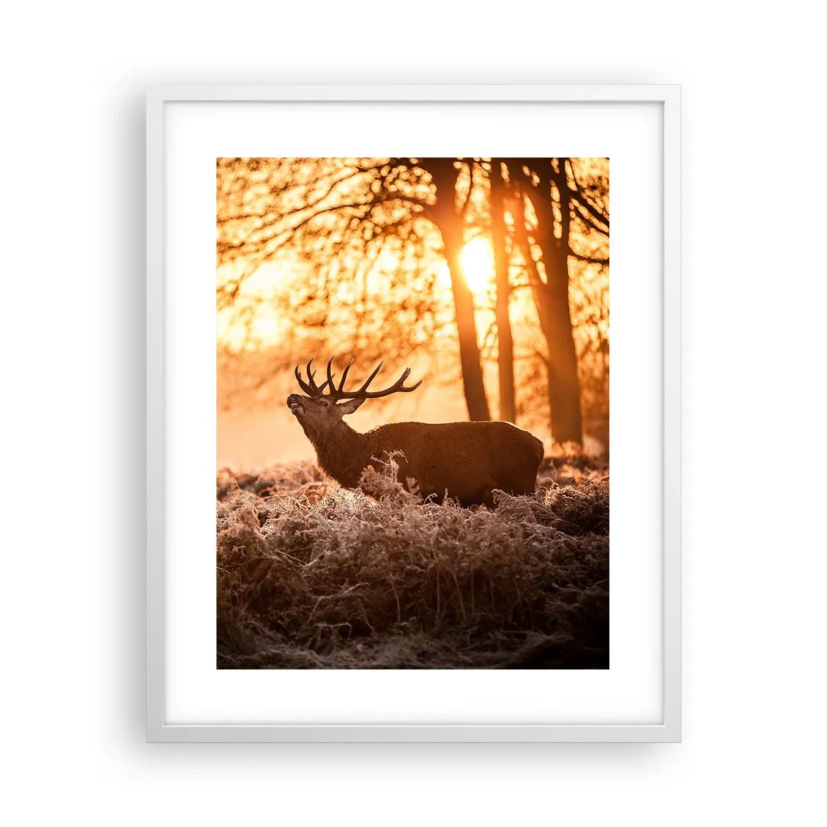 Poszter fekete keretben - Vadász álma - 40x50 cm