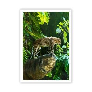 Poszter - A vadászatra? - 70x100 cm