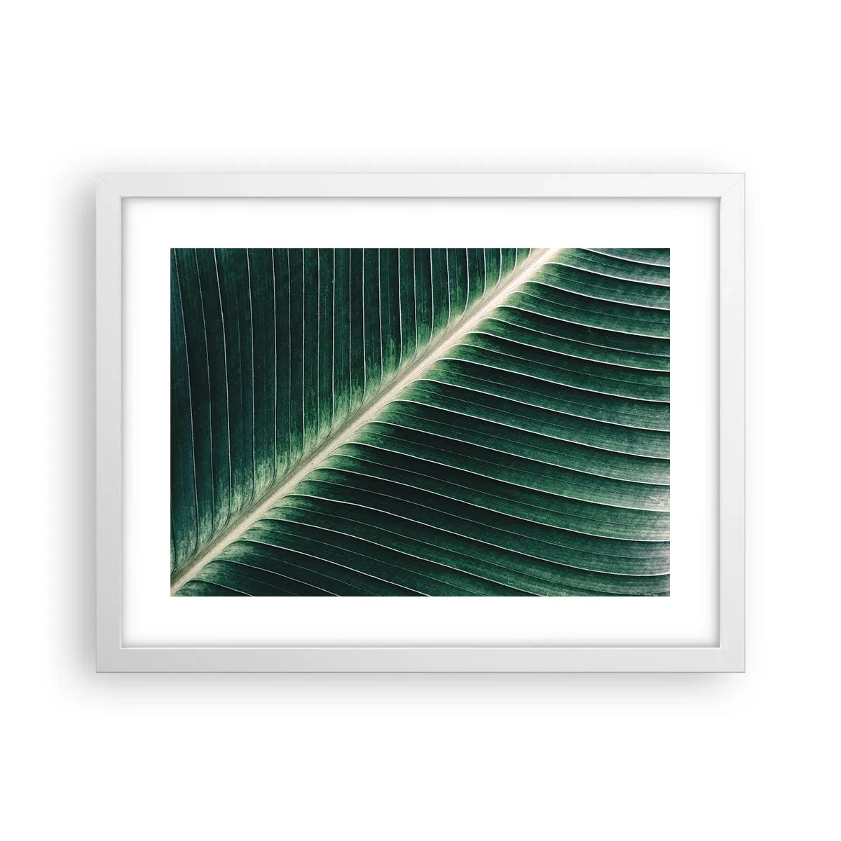 Poszter fekete keretben - A természet ritmusa - 40x30 cm