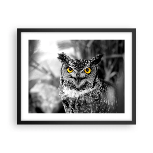 Poszter fehér keretben - Semmi sem fog elbújni - 50x40 cm