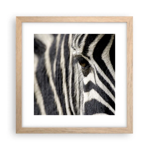 Poszter világos tölgy keretben - Csíkos portré - 30x30 cm